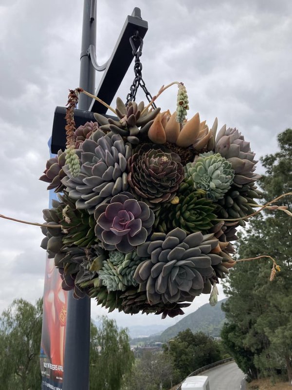 Great Garden Achievements (25 pics) Great Garden Achievements (25 pics)