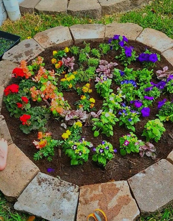 Great Garden Achievements (25 pics) Great Garden Achievements (25 pics)
