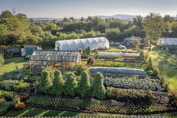Great Garden Achievements (25 pics) Great Garden Achievements (25 pics)