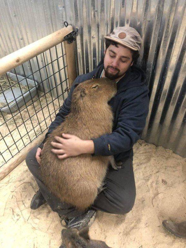 Funny Animals (46 pics)