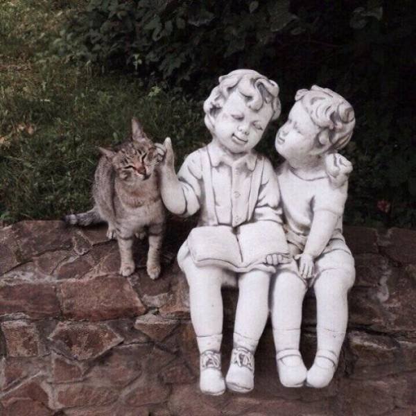 Funny Animals (46 pics)