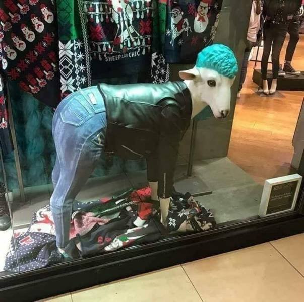 Strange Finds And Situations (55 pics)