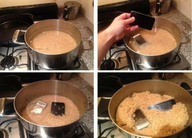 Strange Finds And Situations (55 pics)