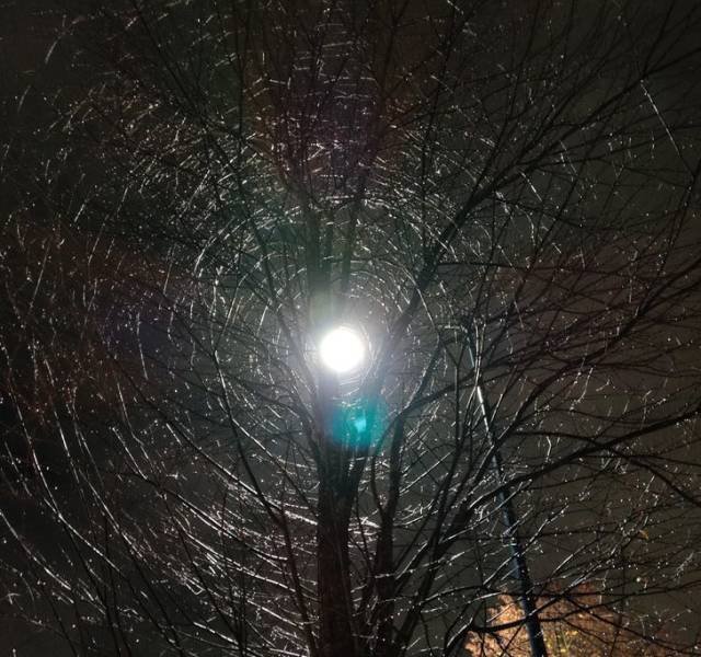 Creepy Finds (46 pics)