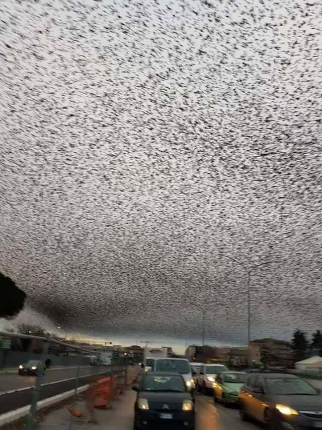 Strange Finds And Situations (55 pics)