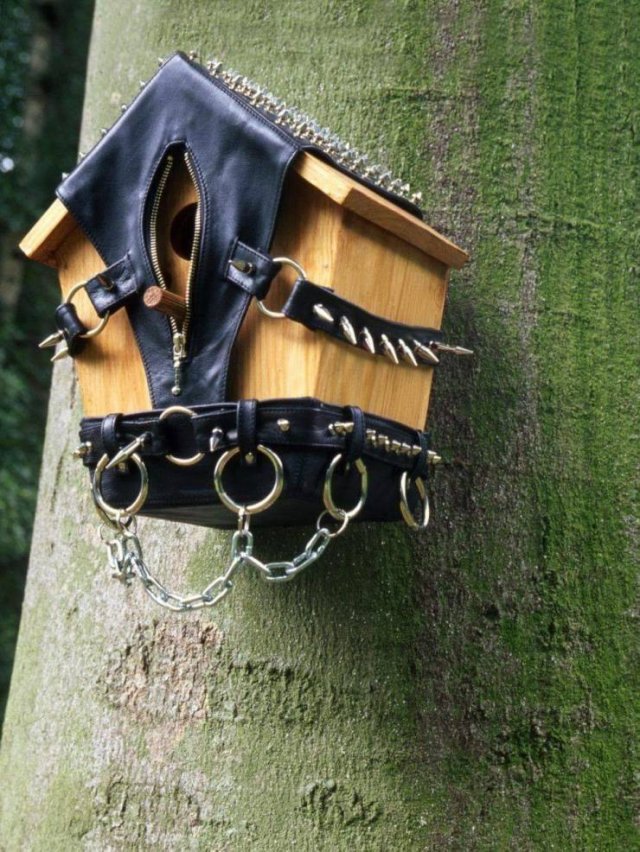 Strange Finds And Situations (55 pics)