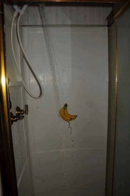 Strange Finds And Situations (55 pics)