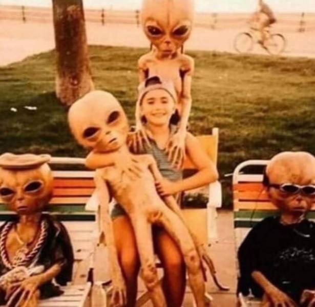 Strange Finds And Situations (55 pics)