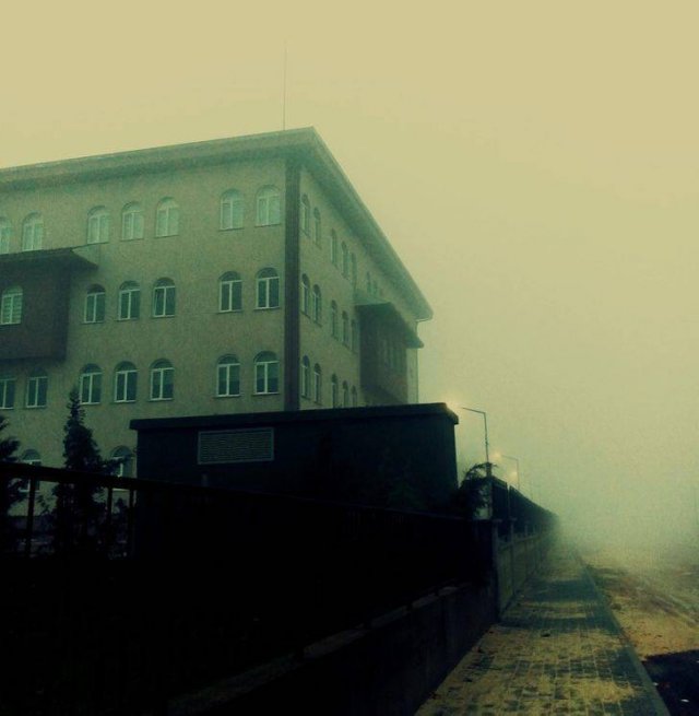 Creepy Finds (46 pics)