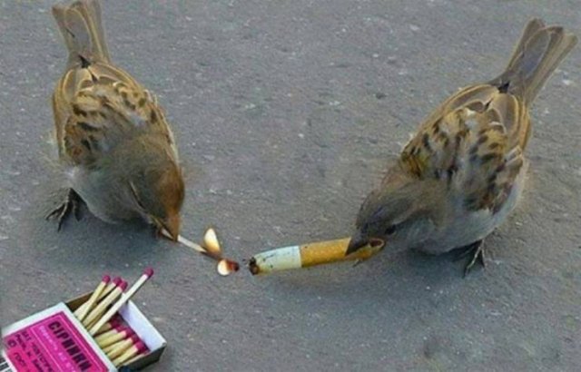 Strange Finds And Situations (55 pics)