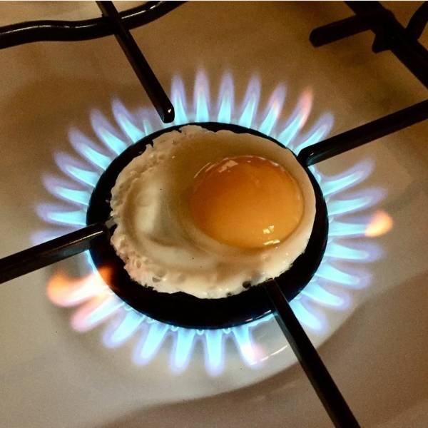 Strange Finds And Situations (55 pics)