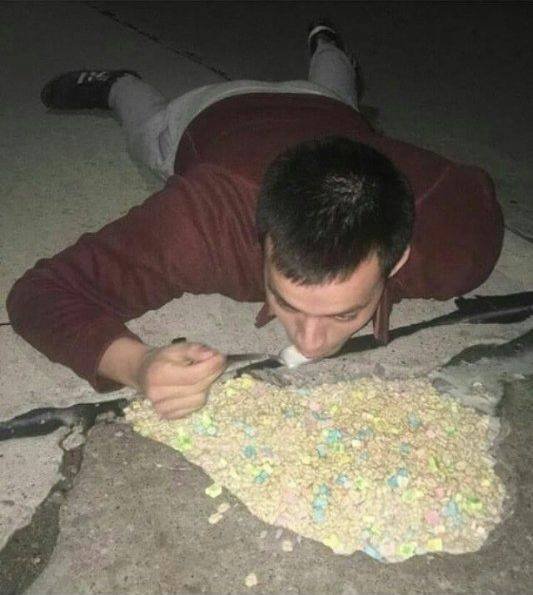 Strange Finds And Situations (55 pics)