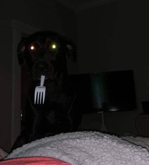 Creepy Finds (46 pics)