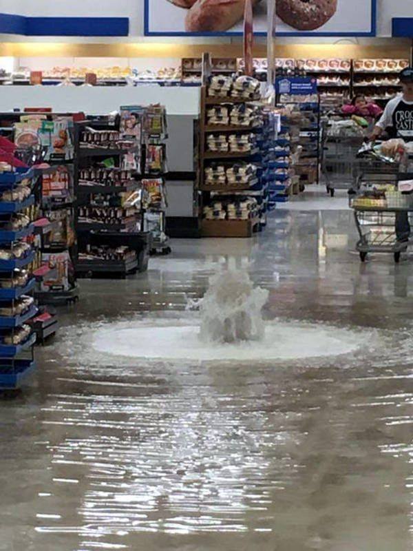 Strange Finds And Situations (55 pics)