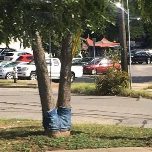 Strange Finds And Situations (55 pics)
