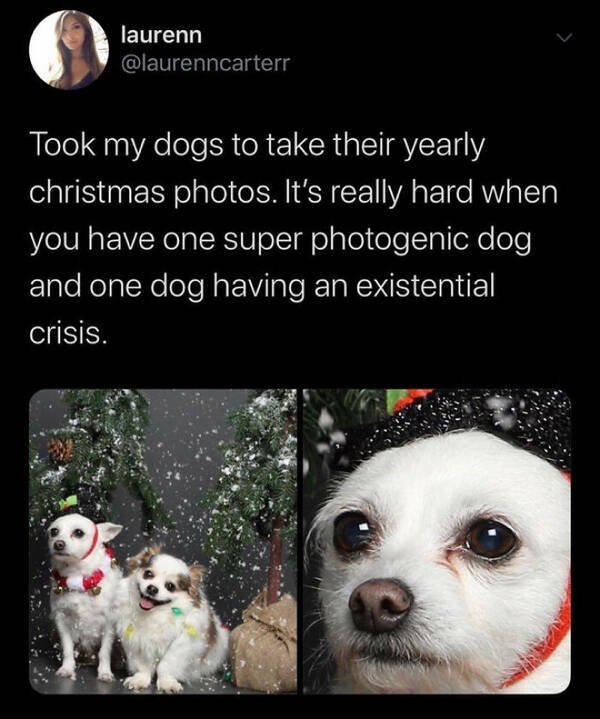 People Share Positive Stories (27 pics)