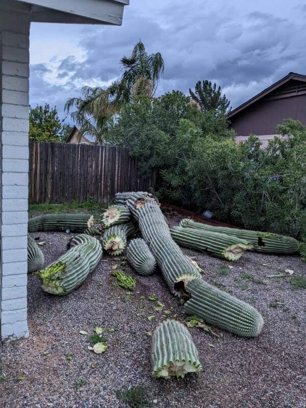 Bad Days Happen (42 pics)