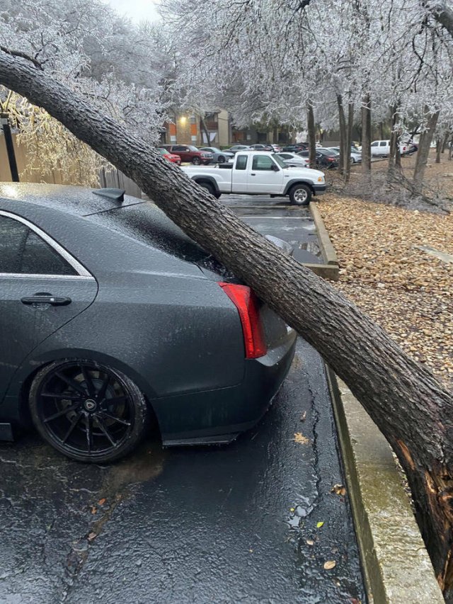 Bad Days Happen (42 pics)