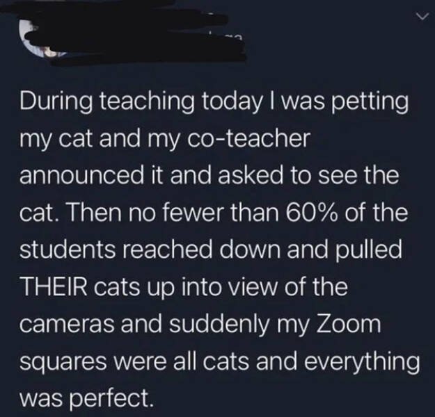 People Share Positive Stories (27 pics)