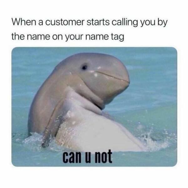 Funny Memes From Sellers (49 pics)