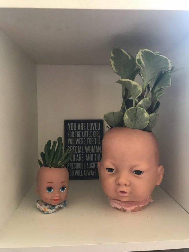What Is Going On Here? (54 pics)