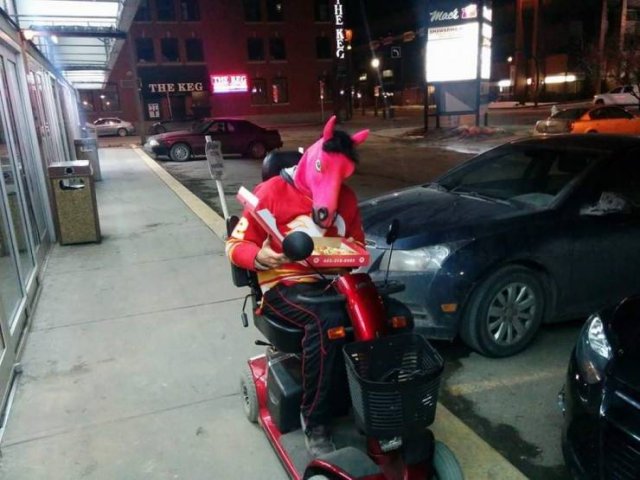 What Is Going On Here? (54 pics)