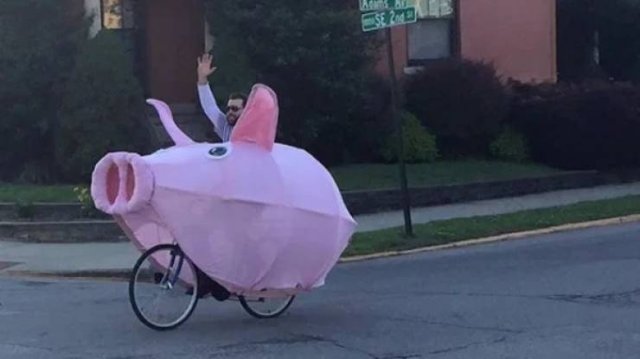 Unusual Finds In Thrift Shops (48 pics)