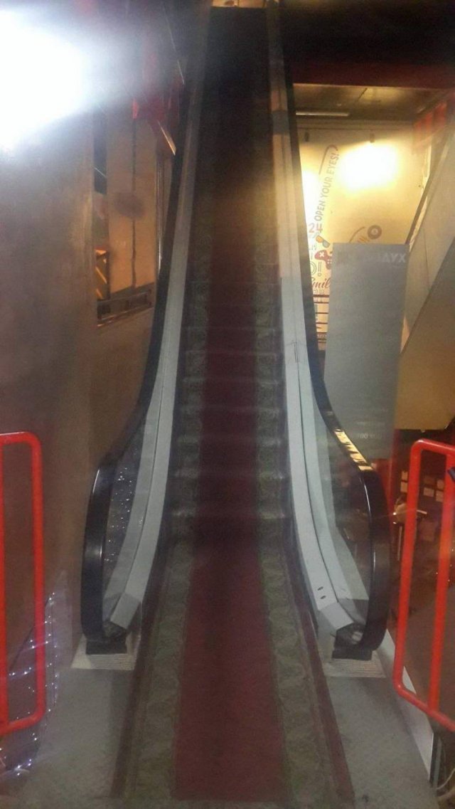 What Is Going On Here? (54 pics)