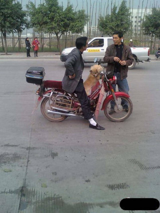 Strange Asians (35 pics)