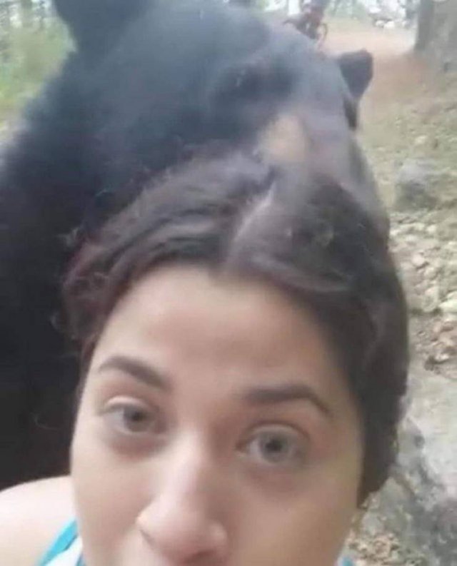 What Is Going On Here? (54 pics)