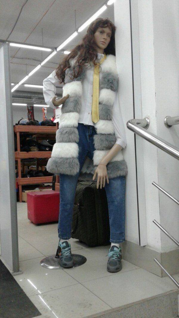 What Is Going On Here? (54 pics)