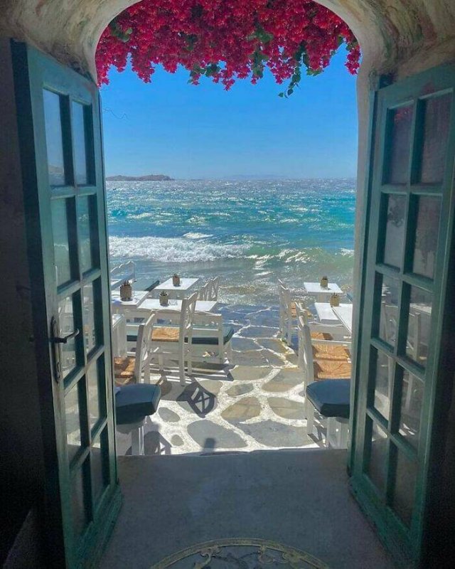 Amazing Views (48 pics)