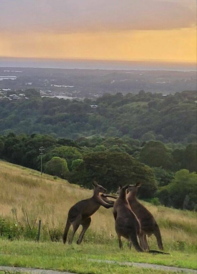 Amazing Views (48 pics)