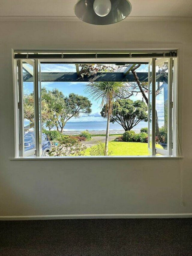 Amazing Views (48 pics)