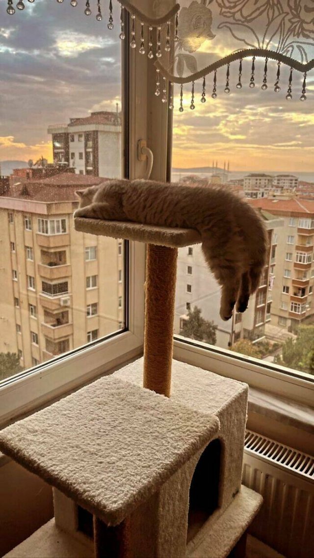 Amazing Views (48 pics)