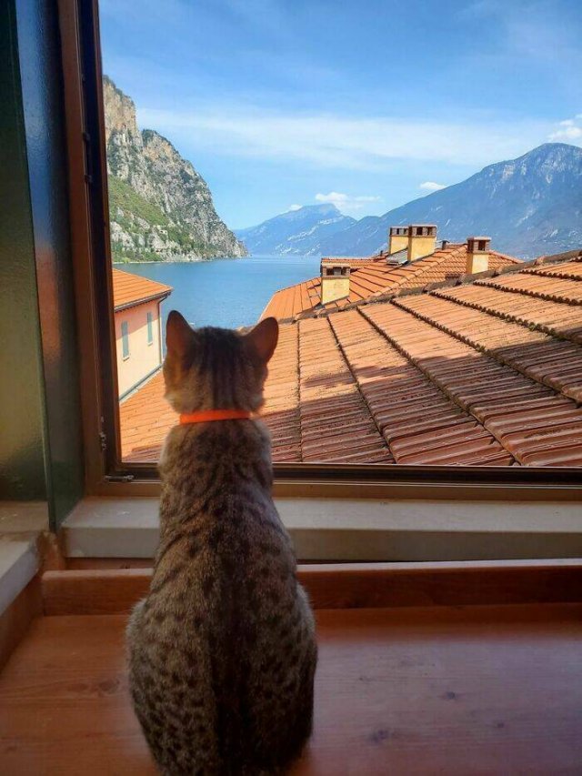 Amazing Views (48 pics)