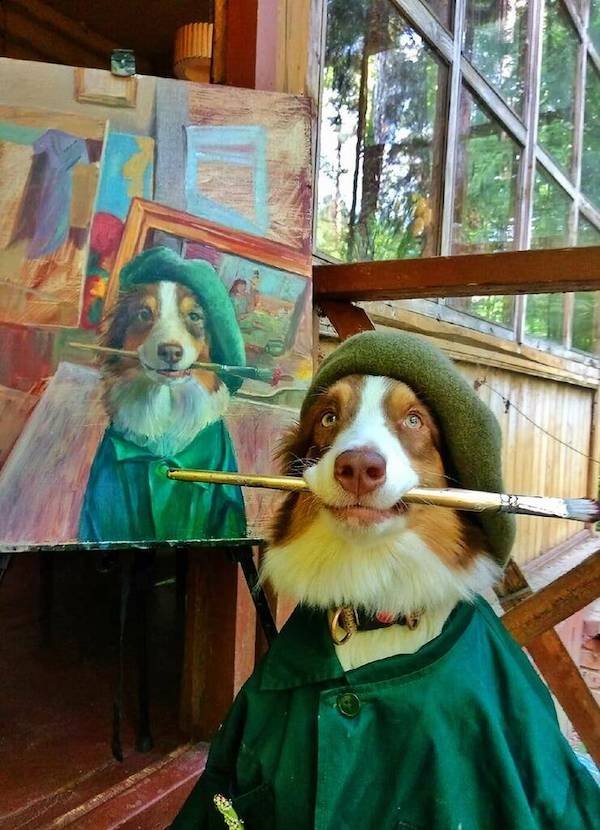 Funny Animals (49 pics)