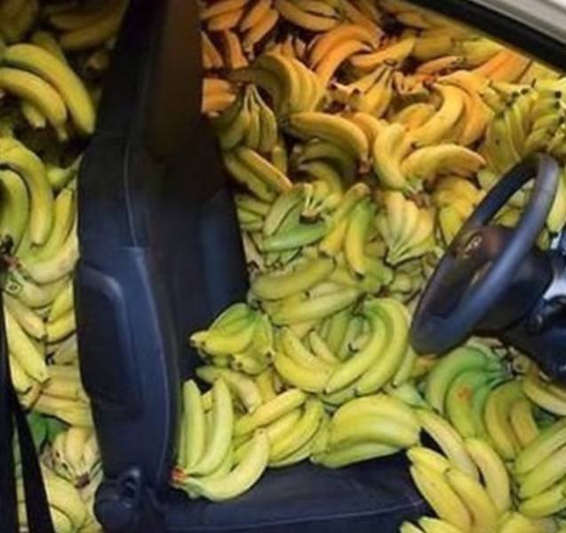 What Is Going On Here? (51 pics)