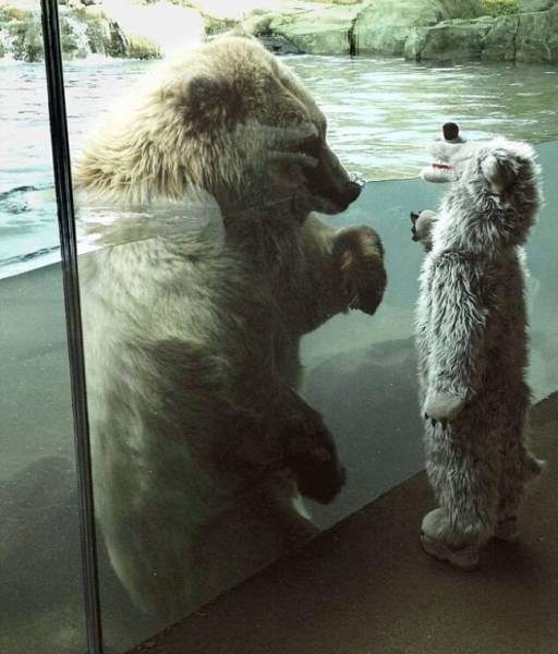 What Is Going On Here? (51 pics)