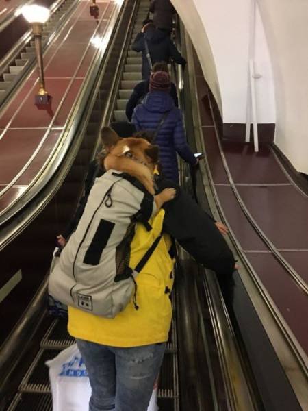 Odd People In The Subway (28 pics)