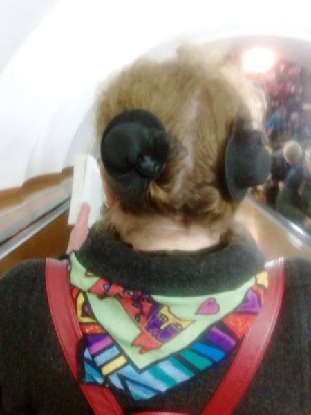 Odd People In The Subway (28 pics)