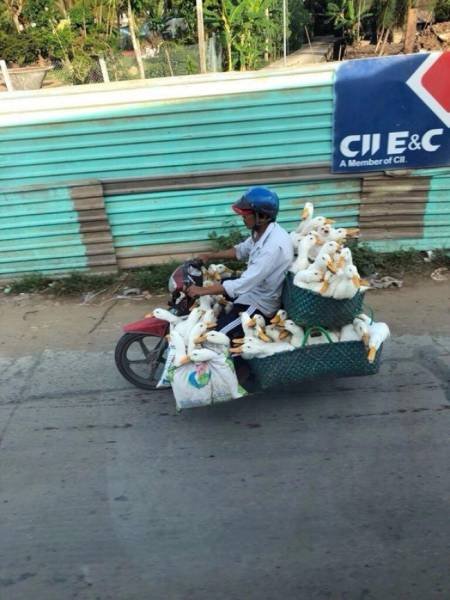 What Is Going On Here? (51 pics)