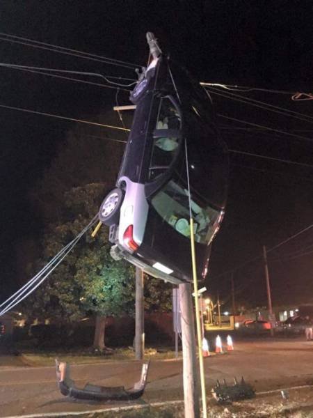 What Is Going On Here? (51 pics)