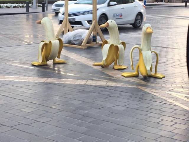 What Is Going On Here? (51 pics)