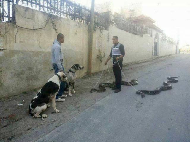 What Is Going On Here? (51 pics)