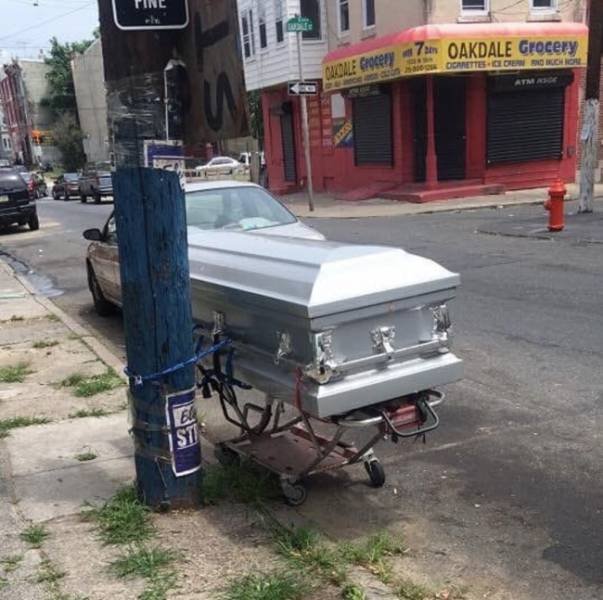 What Is Going On Here? (51 pics)