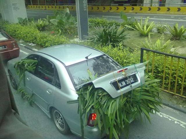 Weird Asians (40 pics)