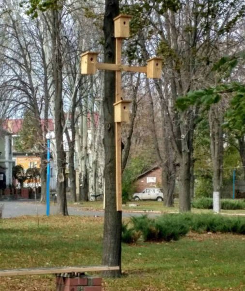 Strange Photos From Russia (41 pics)