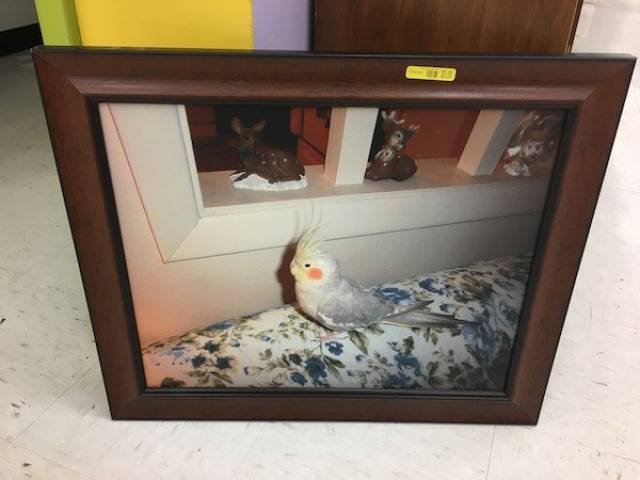 Unusual Finds In Thrift Shops (51 pics)