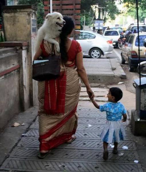 Weird Asians (40 pics)